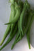 Emerald Okra, Ladies Finger seeds,heirloom vegetables - Caribbeangardenseed
