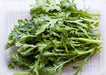 Chrysanthemum Greens, Serrated Leaf (Glebionis coronaria) Asian Vegetable Seeds-,Asian Vegetable Seeds,use like spinach - Caribbeangardenseed