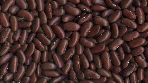 LARGE DARK Brown Kidney Beans - Caribbeangardenseed