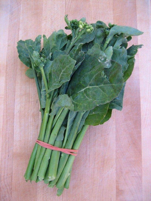 Chinese Broccoli Seeds,Asian Vegetable, - Caribbeangardenseed