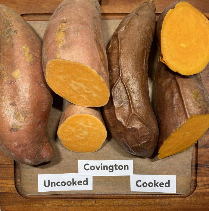 Covington Sweet Potato Plants/Slips - Caribbeangardenseed