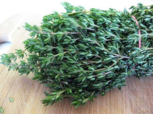 Garden Thyme or English Thyme.Herb Seeds - (Thymus Vulgaris) very hardy perennial, - Caribbeangardenseed