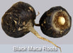 Maca Seeds, BLACK , Peruvian Ginseng, maka, mace, maca-maca, maino, ayak chichira, ayuk willku, pepperweed. - Caribbeangardenseed