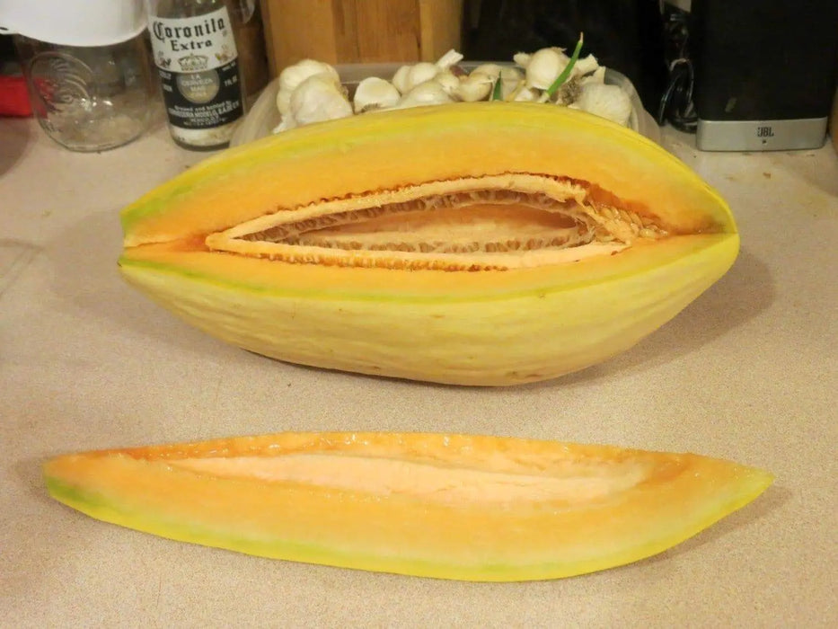 Banana Melon Seeds - Cucumis melo - vining warm season vegetable - Caribbeangardenseed
