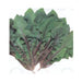 Akarenso Spinach Seeds - (Asian Greens) - Caribbeangardenseed