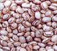 Carioca bean (feijão carioquinha), Brazil's most popular bean- 100 Seeds - Caribbeangardenseed