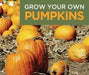 Jack O Lantern Pumpkin (Winter Squash Seeds) Halloween Pumpkin. - Caribbeangardenseed