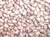 Romano Pole Bean Seeds, Itialian Heirloom ,Flat Pods - Caribbeangardenseed