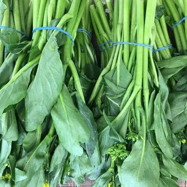 Cantonese pak choy Seeds, Asian Vegetables, - Caribbeangardenseed