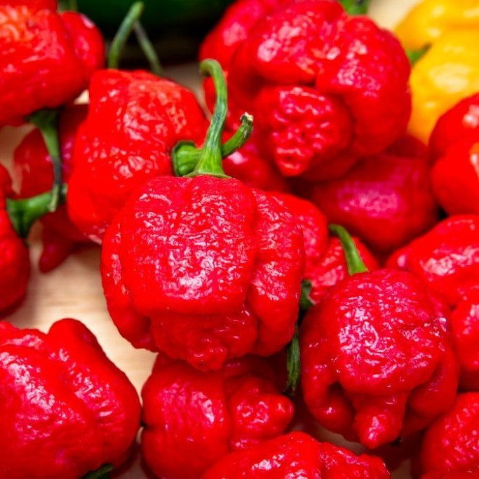 Scoville Heat Scale and Pepper Names