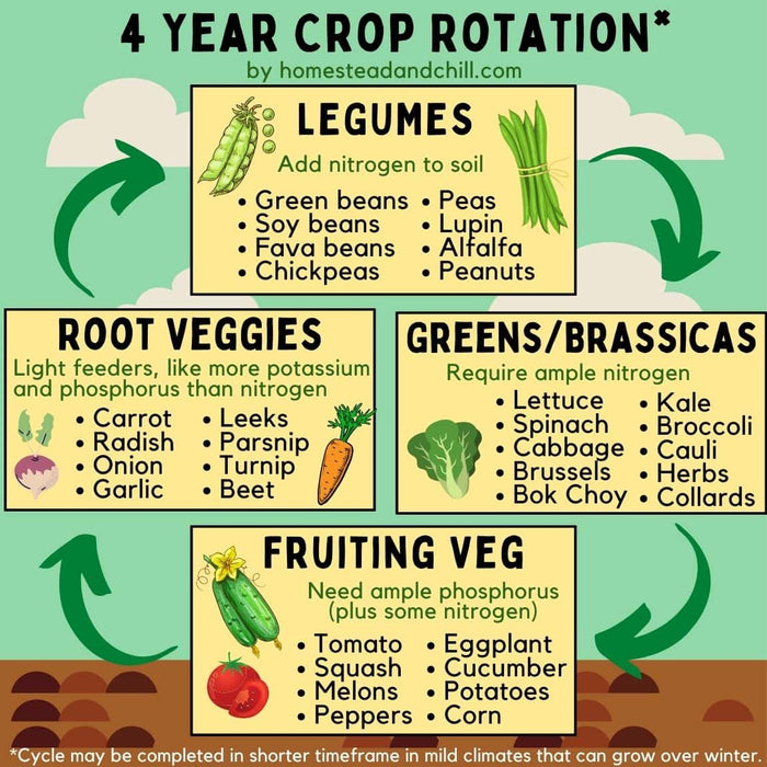 Crop Rotation: Facts and Benefits
