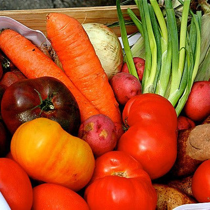 The Best Plants to Plant in January