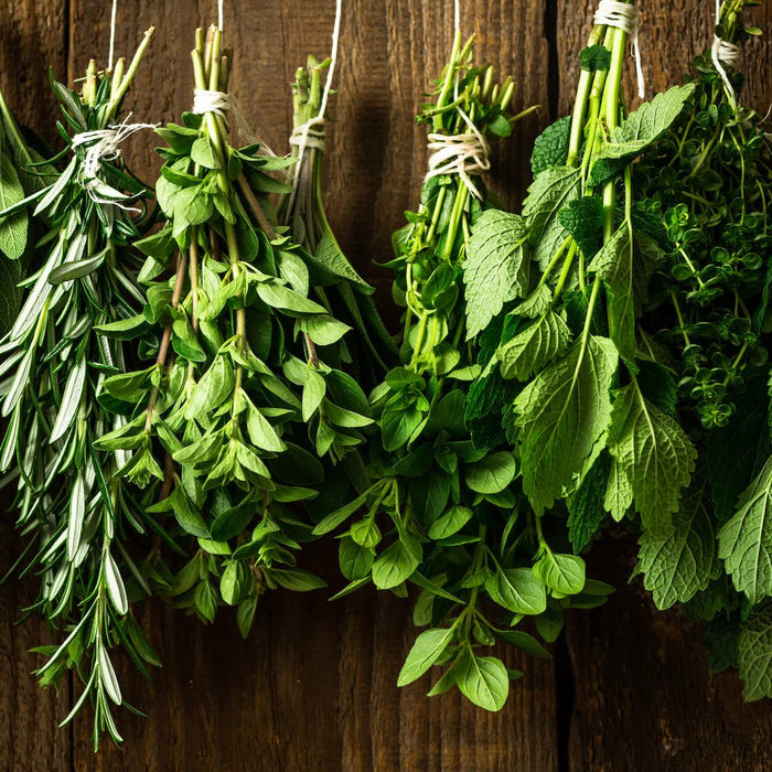 The Easiest Way to Grow Herbs In Containers