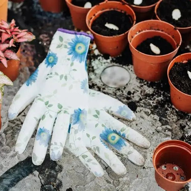 The-Ultimate-Guide-to-Seed-Storage-Techniques Caribbean garden seed