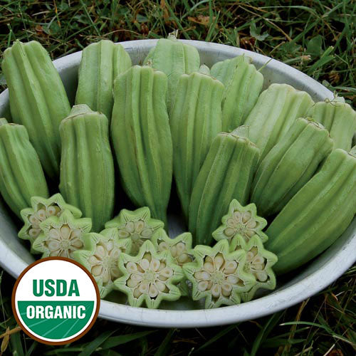 Star Of David Okra Seeds