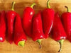 Achar Hot Pepper Seeds -Capsicum annuum - Caribbean garden seed