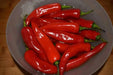 Achar Hot Pepper Seeds -Capsicum annuum - Caribbean garden seed
