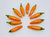 African Orange Bird ,Chili Pepper-  10 Seeds, Very Hot (Capsicum baccatum) - Caribbean garden seed