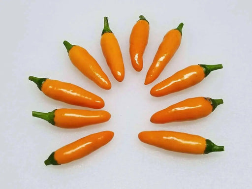 African Orange Bird ,Chili Pepper-  10 Seeds, Very Hot (Capsicum baccatum) - Caribbean garden seed