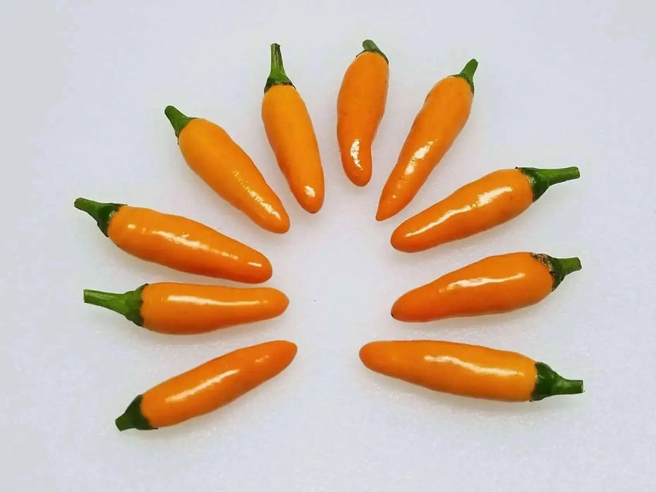 African Orange Bird ,Chili Pepper-  10 Seeds, Very Hot (Capsicum baccatum) - Caribbean garden seed