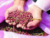 Adzuki bean , Chinese Red Bean ( SEEDS ) ,ASIAN VEGETABLE - Caribbean garden seed