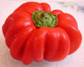 Aji Brazilian ,Red Pumpkin Pepper Seed .(Capsicum baccatum) - Caribbean garden seed