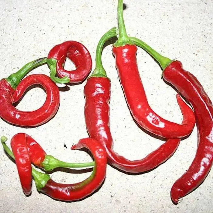 Aji Cacho de Cabra, Medium hot PEPPER SEEDS (Capsicum baccatum) - Caribbean garden seed