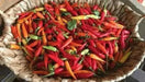 Ají caballero Pepper SEEDS (Capsicum frutescens) Pique criollo  Chili - Caribbean garden seed