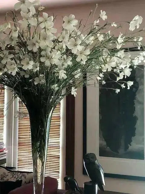 Agrostemma  ,OCEAN PEARL, ANNUAL Flowers Seed - Caribbean garden seed