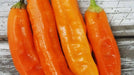 AJI AMARILLO ( Live PEPPER PLANT) Peruvian Chilli, YELLOW  PEPPER - Caribbean garden seed