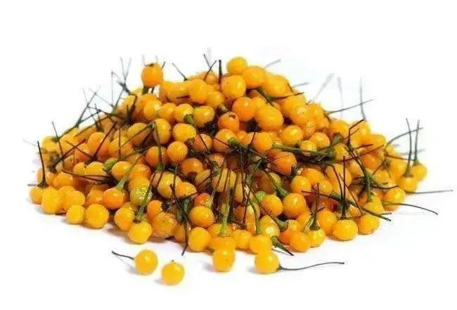 Aji Charapita Hot Pepper Seeds ,Capsicum frutescens, - Caribbean garden seed