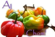 Aji Chombo Hot Pepper Seeds, Capsicum Chininese - Caribbean garden seed