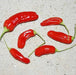 Aji de Guioso, Medium hot (Capsicum chinense) hot pepper - Caribbean garden seed