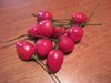 Aji Heart throb Pepper - 10 Seeds, (Capsicum baccatum,fr. South America. - Caribbean garden seed