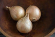Ailsa Craig onions Seed ( long-day ) asian vegetable - Caribbean garden seed