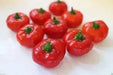 Aji PILANGE- PEPPER SEEDS - Capsicum baccatum - Caribbean garden seed