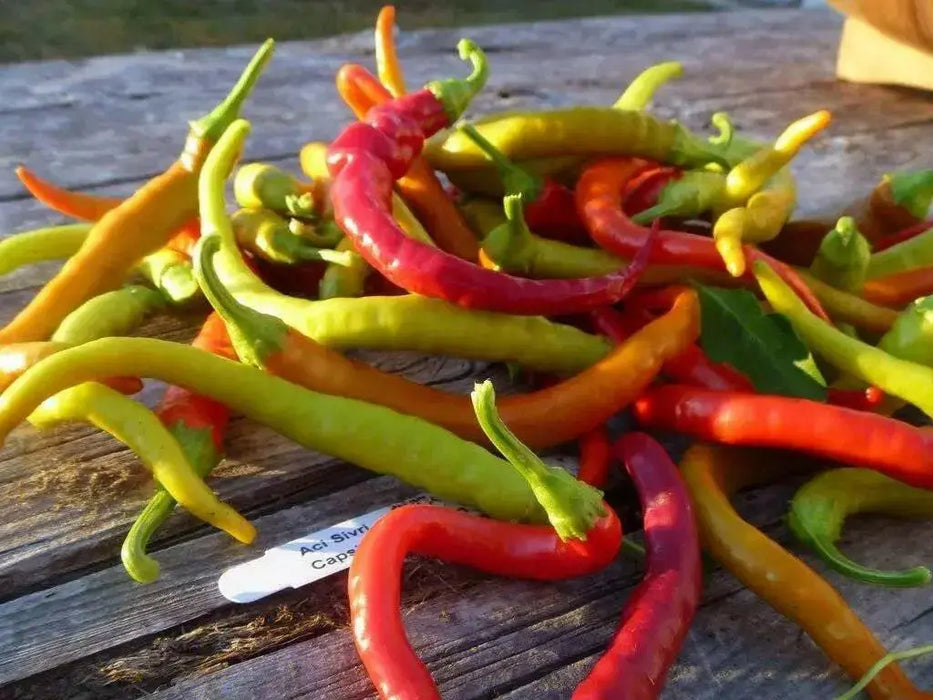 AJI SIVRI CHILI, Pepper Seeds -Capsicum annuum - Caribbean garden seed