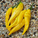 Aji Pineapple  Pepper Seeds ,CAPSICUM BACCATUM - Caribbean garden seed