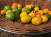 Aji jobito pepper seeds (Capsicum chinense) mild - Caribbean garden seed