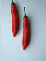 Aji Santa Cruz, Chili Pepper Seeds, Very Hot (Capsicum baccatum) - Caribbean garden seed