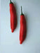 Aji Santa Cruz, Chili Pepper Seeds, Very Hot (Capsicum baccatum) - Caribbean garden seed