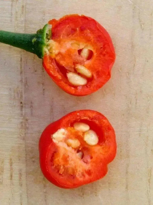 Aji Tapachula (10 Pepper Seeds)  Capsicum baccatum variety with cherry shaped - Caribbean garden seed
