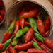 Aji Rico PEPPER Seeds (Capsicum baccatum) Medium hot - Caribbean garden seed
