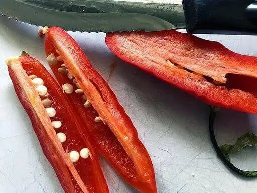 Aji Rico PEPPER Seeds (Capsicum baccatum) Medium hot - Caribbean garden seed