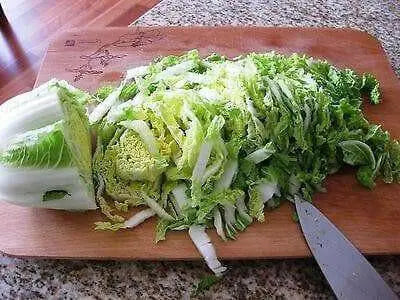 All Seasons Cabbage Seeds,ANNUAL VEGETABLE, Heat resistant - Caribbean garden seed