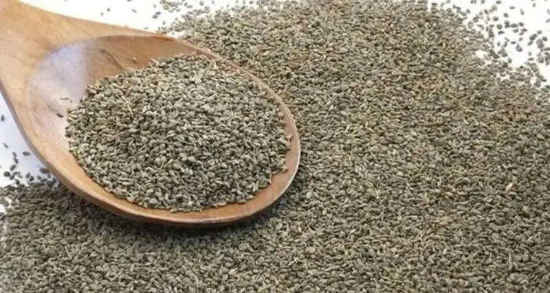 Ajwain HERB Seeds -.perennial herb - Caribbean garden seed