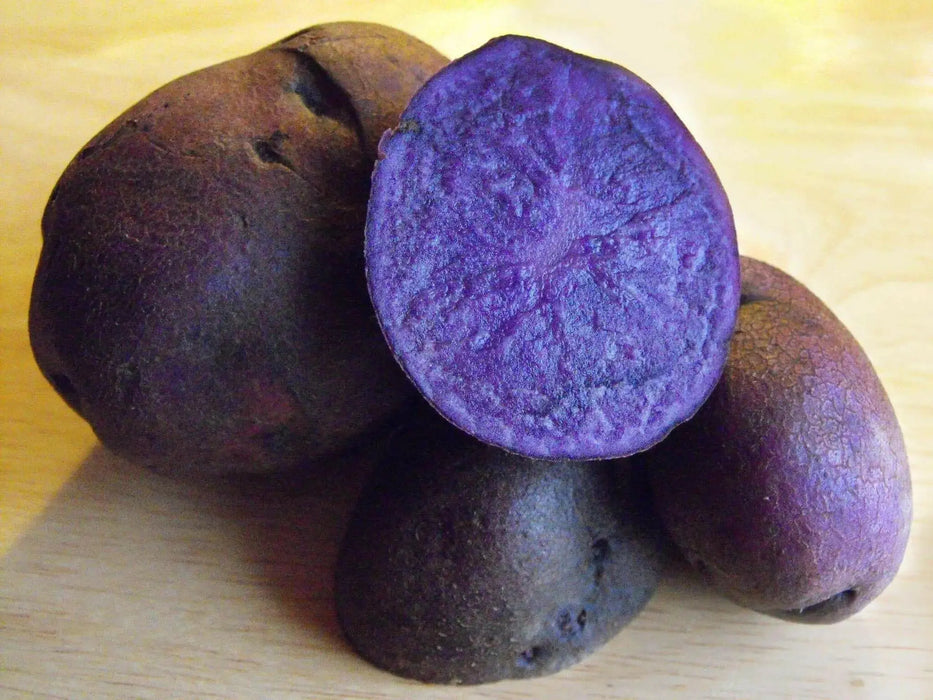 All Blue potato ,Speciality Potato, Retained Color while cooking. High in antioxidants.. - Caribbean garden seed