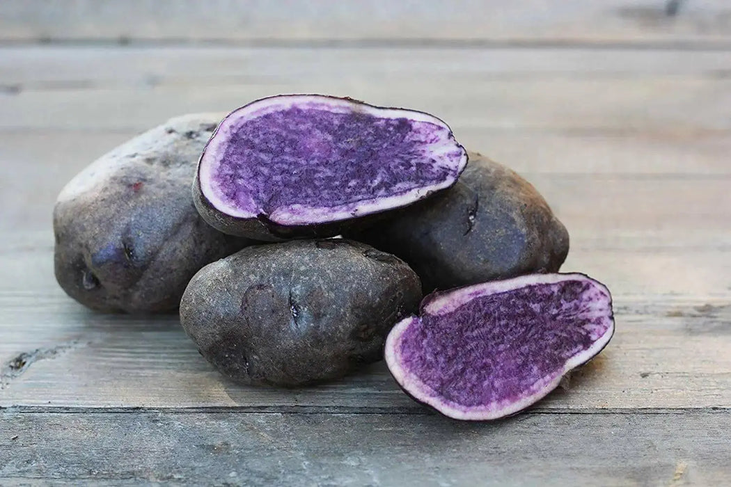 All Blue potato ,Speciality Potato, Retained Color while cooking. High in antioxidants.. - Caribbean garden seed