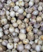 Allium Cowanii Bulbs, White flowers, - Caribbean garden seed