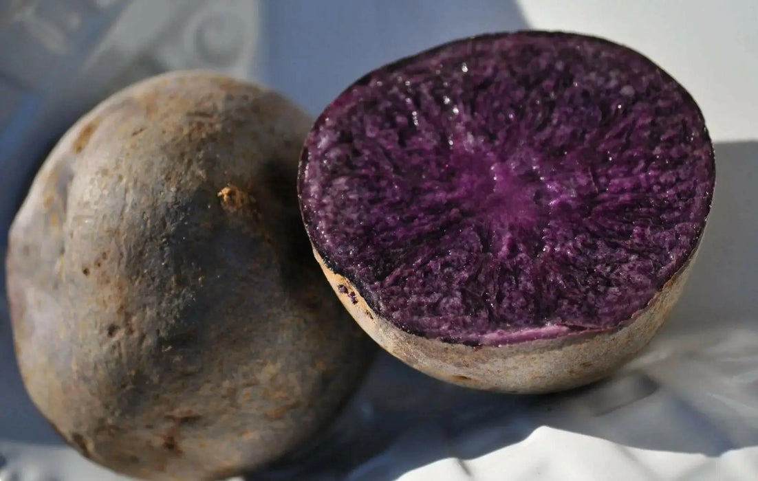 ALL BLUE POTATO Seeds ,Excellent yields and flavor - Caribbean garden seed
